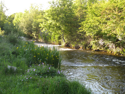 glore mill arts centre